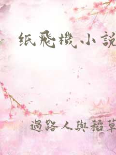 纸飞机小说