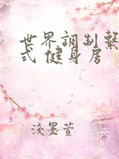 世界调制系统模式 健身房