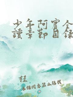 少年阿宾全文阅读章节目录