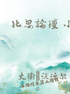 比思论坛 小说