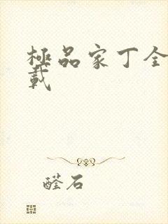 极品家丁全集下载