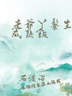 老爷丫鬟生米煮成熟饭