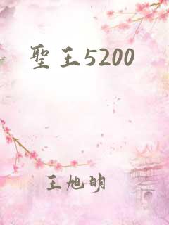 圣王5200
