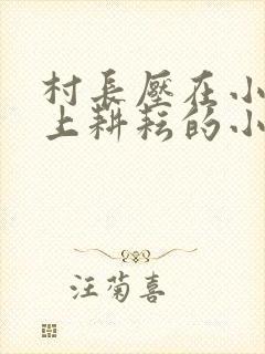 村长压在小娥身上耕耘的小说