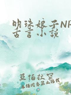 明珠娘子NPC古言小说
