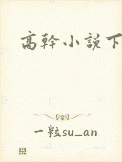高干小说下载