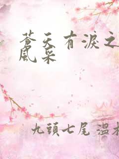 苍天有泪之军人风采