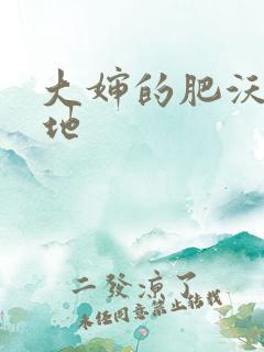 大婶的肥沃的土地