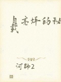 月亮坪的秘密下载