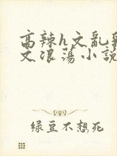 高辣h文乱乳h文浪荡小说txt