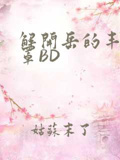 解开岳的丰满奶罩BD