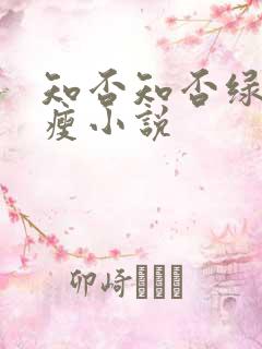 知否知否绿肥红瘦小说