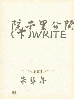 院子里公开惩戒(下)WRITE