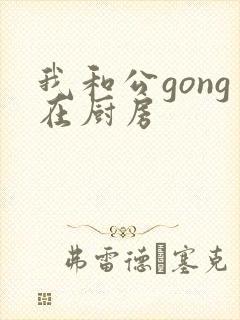 我和公gong在厨房