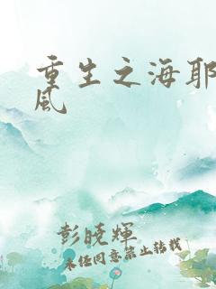重生之海耶斯旋风