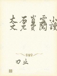 大石肖雪小说全文免费阅读