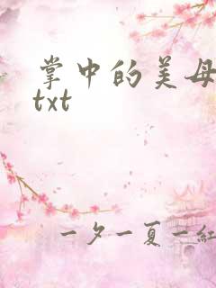 掌中的美母版主txt