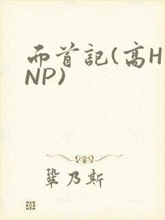 面首记(高H NP)