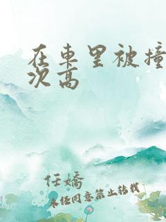 在车里被撞了八次高