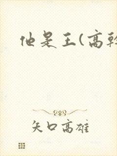 他是王(高干)