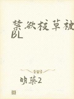 禁欲校草被C哭BL