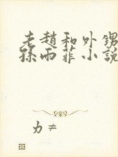 老赵和外甥媳妇孙雨菲小说