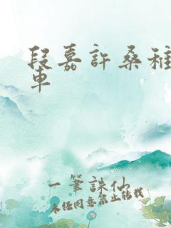 段嘉许桑稚浴室车