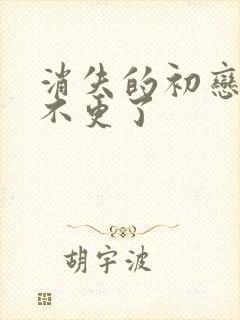 消失的初恋为啥不更了