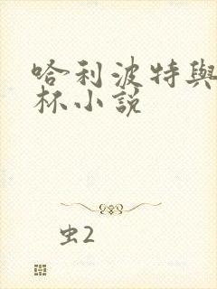 哈利波特与火焰杯小说