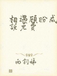 相遇顾盼成欢小说免费