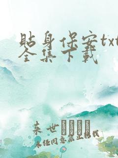 贴身保安txt全集下载