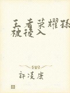 王者荣耀孙尚香被后入