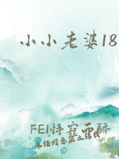 小小老婆18岁