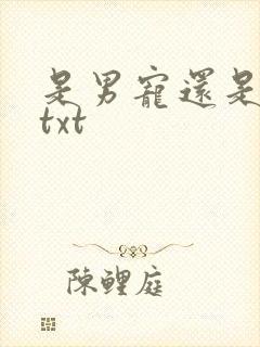 是男宠还是禁脔txt