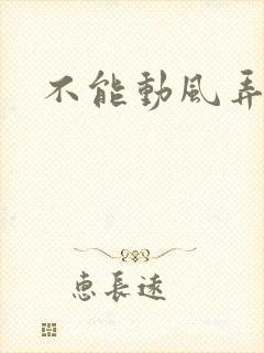 不能动风弄