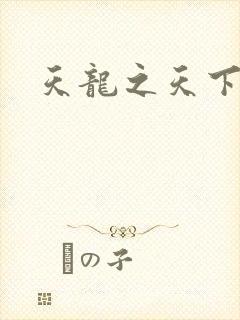 天龙之天下有我