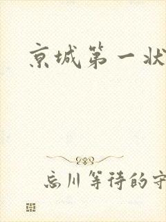 京城第一状师