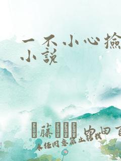 一不小心捡到爱小说