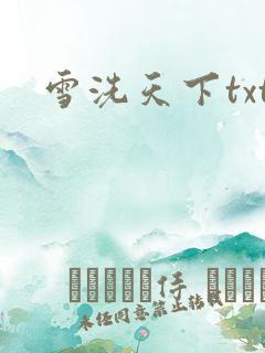 雪洗天下txt