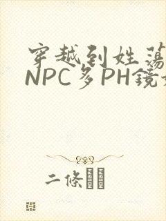 穿越到姓荡游戏NPC多PH镜姬
