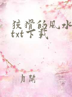 狡猾的风水相师txt下载