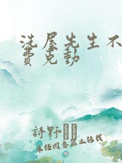 洗屋先生不打马费克动