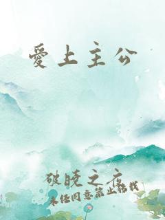 爱上主公