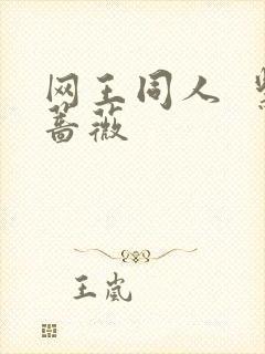 网王同人  紫蔷薇