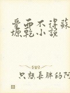 爱而不得苏路顾塬乾小说