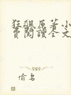 狂飙原著小说免费阅读全文