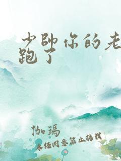 少帅你的老婆又跑了