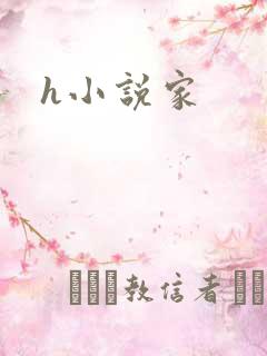 h小说家