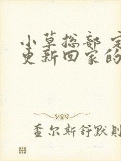 小草总部 定期更新回家的路