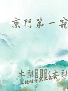 京门第一宠